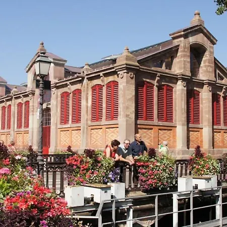 Colmar Historic Center - Belle Alsace - Studio 3 - Bookingalsace Extérieur photo