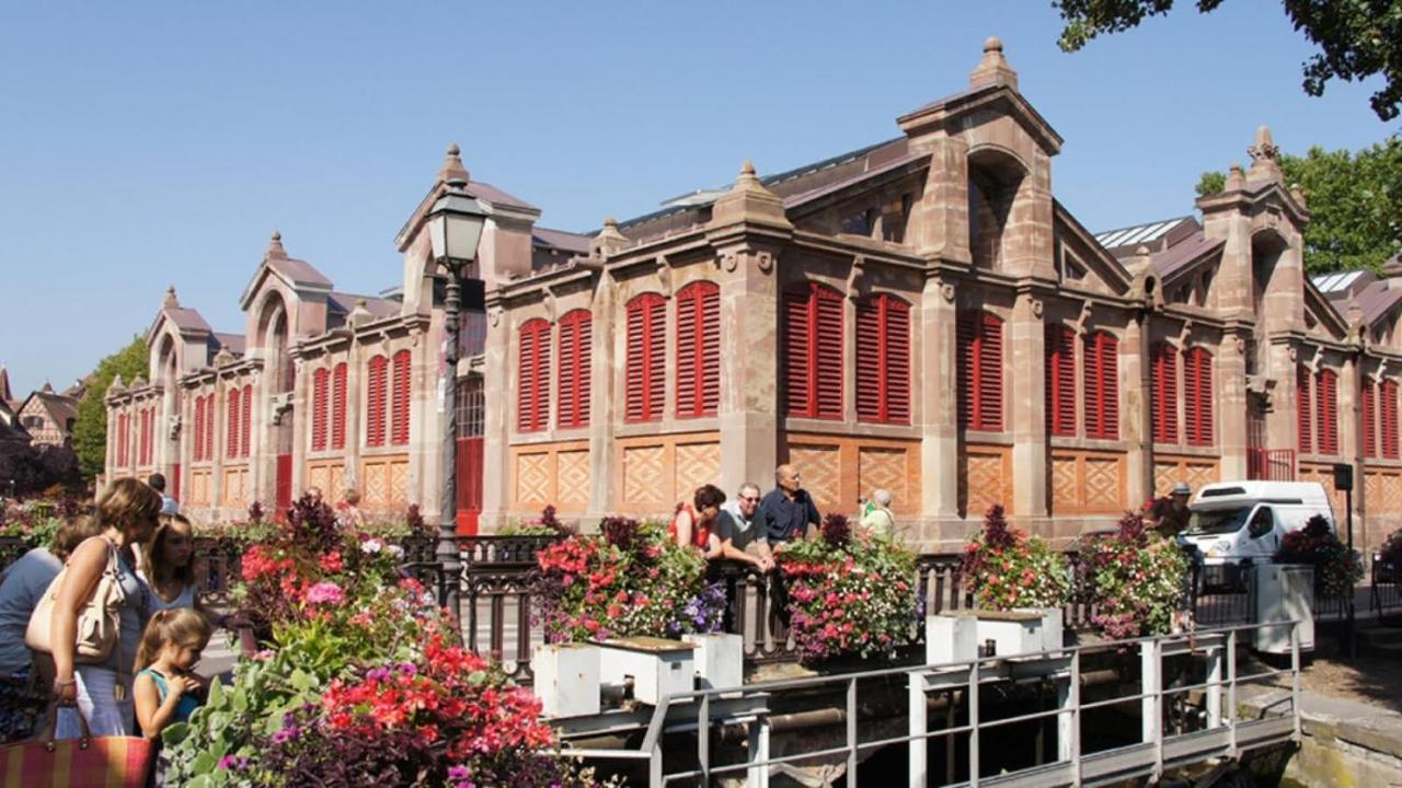 Apartment Historic Center - Belle Alsace - 3 - Bookingalsace Colmar